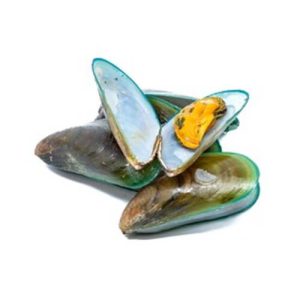 Fresh-Green-Mussels-for-online-seafood-delivery-in-Pakistan