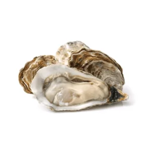 Fresh-Oyster-for-online-delivery-in-Pakistan-1