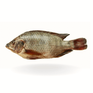 Tilpia-Fish-for-online-seafood-delivery-in-Pakistan