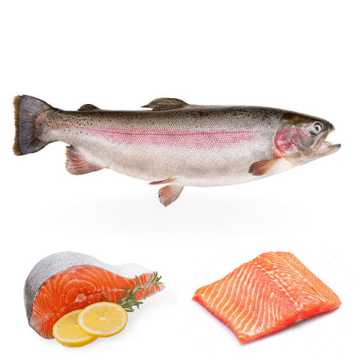 Salmon Trout or Steelhead Salmon for online fish delivery