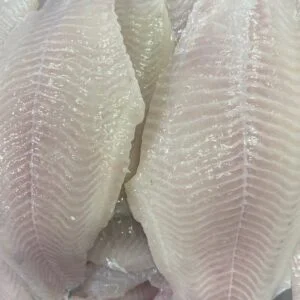 Channel Catfish fillet skinless