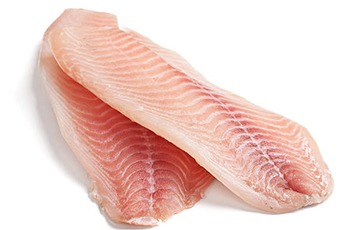 raw filleted tilapia on white background