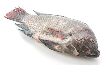 black tilapia online fish delivery