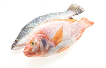 fresh whole fish online fish delivery