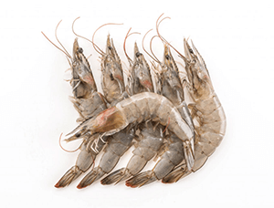 prawns online fish delivery