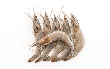 prawns online fish delivery