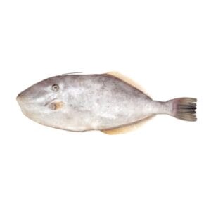 Irani-Paplet